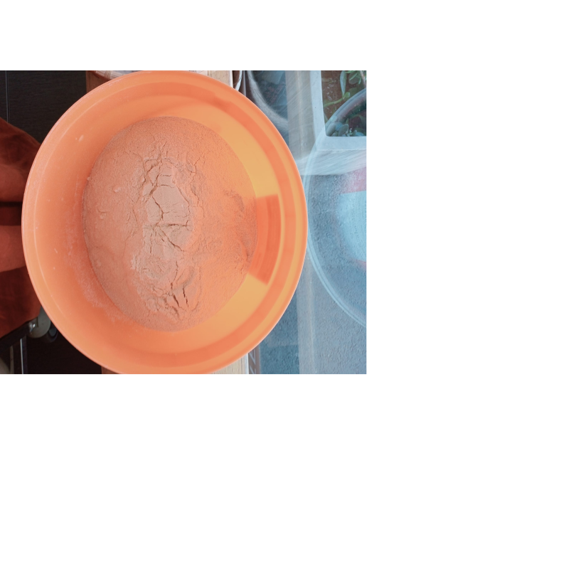 Soy Milk Powder