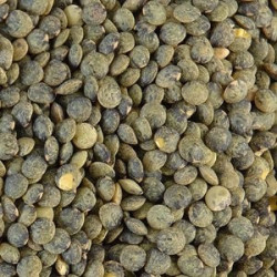 Du Puy (French) Lentils