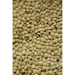 Green Lentils