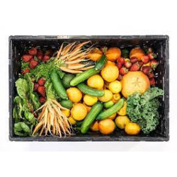 Queen Vic Market -Fruit and vegetable crate - medium