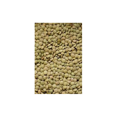 Green Lentils