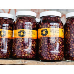 Mount Zero Wild Olives