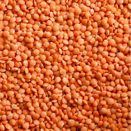 Split Red Lentils